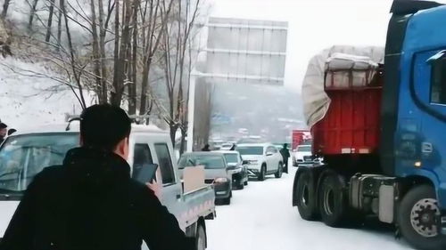 貨車司機(jī)明明知道停不進(jìn)去,還要試一下,難道非要碰著小汽車就滿意了嗎